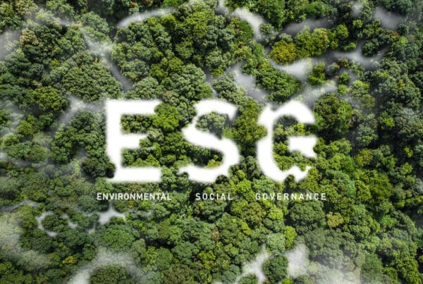 History of Paper Sacks