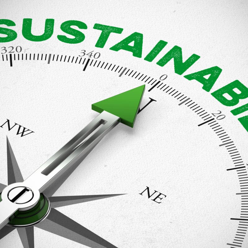 Paper Sacks Features